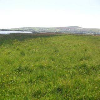GL1B: Agrostis stolonifera – Filipendula ulmaria marsh-grassland