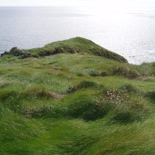 GL3F: Festuca rubra – Lotus corniculatus grassland
