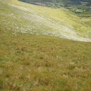 GL4B: Nardus stricta – Potentilla erecta grassland