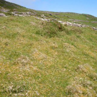 GL4C: Agrostis capillaris – Potentilla erecta grassland
