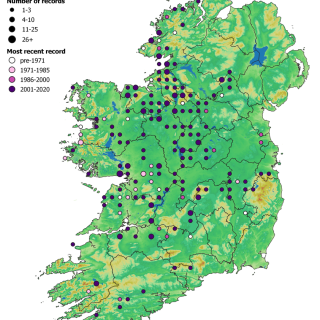 GL1C map: Molinia caerulea – Succisa pratensis grassland