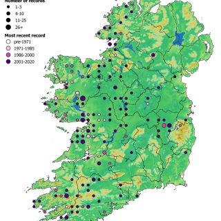 GL1D map: Molinia caerulea – Potentilla erecta – Agrostis stolonifera grassland