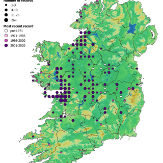 GL3A map: Briza media – Thymus polytrichus grassland