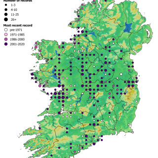 GL3C map: Festuca rubra – Plantago lanceolata grassland
