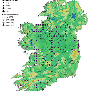 GL3E map: Festuca rubra – Rhinanthus minor grassland