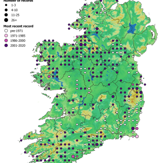 GL4A map: Agrostis capillaris – Trifolium repens grassland