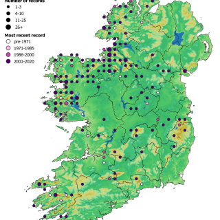 GL4C map: Agrostis capillaris – Potentilla erecta grassland