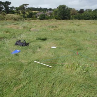 SM6D: Agrostis stolonifera – Juncus gerardii saltmarsh