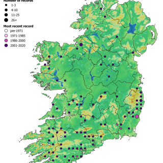 WL1B map: Quercus petraea – Luzula sylvatica woodland