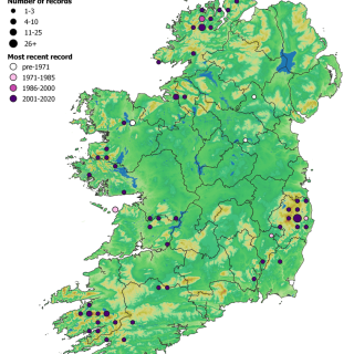 WL1D map: Quercus petraea – Vaccinium myrtillus woodland