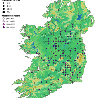 WL2A map: Quercus robur – Circaea lutetiana woodland