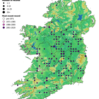 WL2B map: Fraxinus excelsior – Geum urbanum woodland