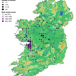 WL2E map: Corylus avellana – Potentilla sterilis woodland