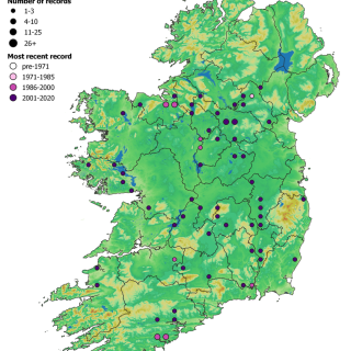 WL3C map: Fraxinus excelsior – Iris pseudacorus woodland