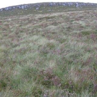 BG2E: Calluna vulgaris – Eriophorum spp. bog