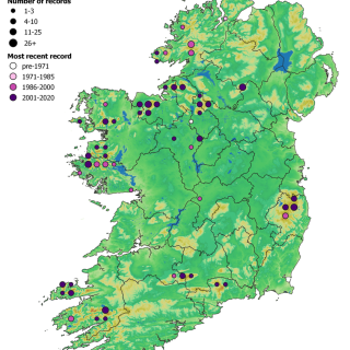 BG2F map: Trichophorum cespitosum/germanicum – Eriophorum angustifolium peatland