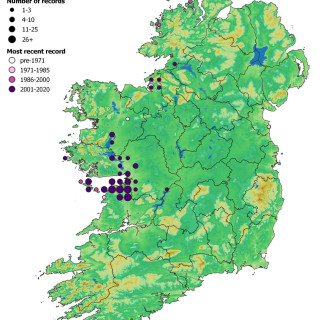 HE1A map: Dryas octopetala – Sesleria caerulea heath