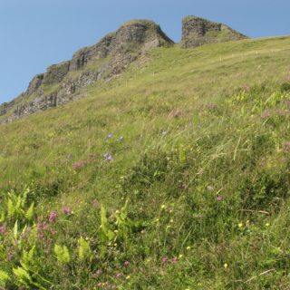HE2C: Calluna vulgaris – Agrostis capillaris heath