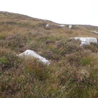 HE2E: Calluna vulgaris – Trichophorum cespitosum/germanicum heath