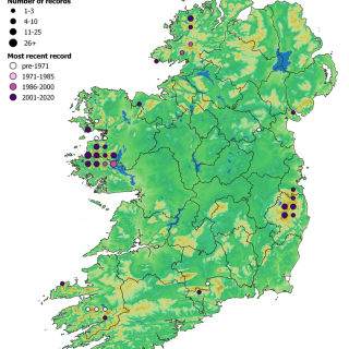 HE3C map: Calluna vulgaris – Nardus stricta heath