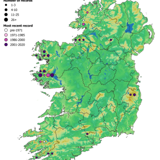 HE4B map: Molinia caerulea – Nardus stricta heath
