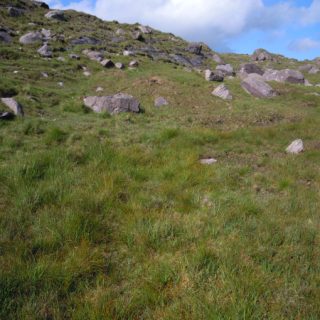 HE4B: Molinia caerulea – Nardus stricta heath