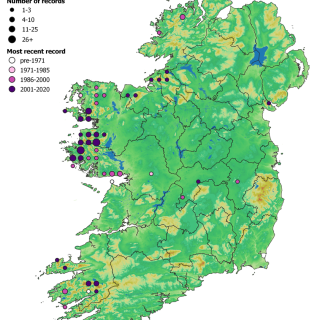 HE4C map: Molinia caerulea – Schoenus nigricans – Calluna vulgaris peatland