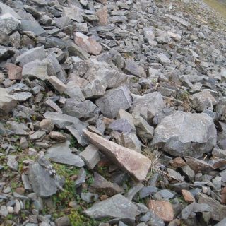 RH2B: Racomitrium fasciculare – Festuca vivipara scree community