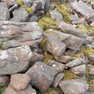 RH2C: Racomitrium lanuginosum – Hypnum jutlandicum scree community