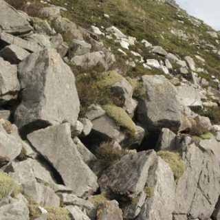 RH2C: Racomitrium lanuginosum – Hypnum jutlandicum scree community