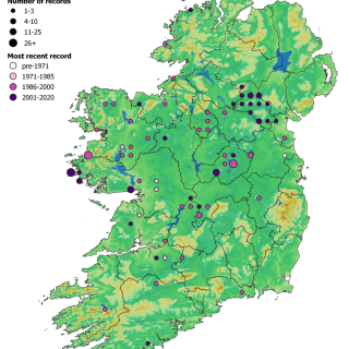 FE2F map: Menyanthes trifoliata – Calliergonella cuspidata mire