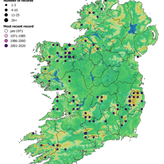 FW2B map: Rhynchostegium riparioides – Chiloscyphus polyanthos aquatic community