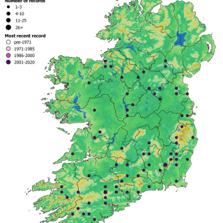 FW2C map: Ranunculus penicillatus – Fontinalis antipyretica aquatic community