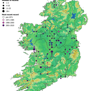 FW3F map: Filipendula ulmaria – Valeriana officinalis tall-herb swamp