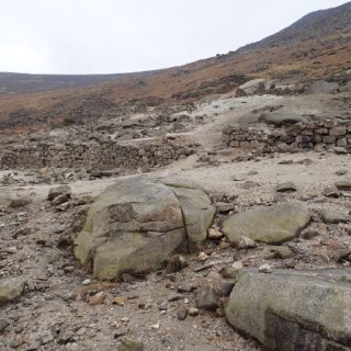 RH3A: Cephaloziella stellulifera – Dicranella varia mine-spoil community