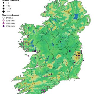 SC1C map: Pteridium aquilinum – Rubus fruticosus agg. scrub