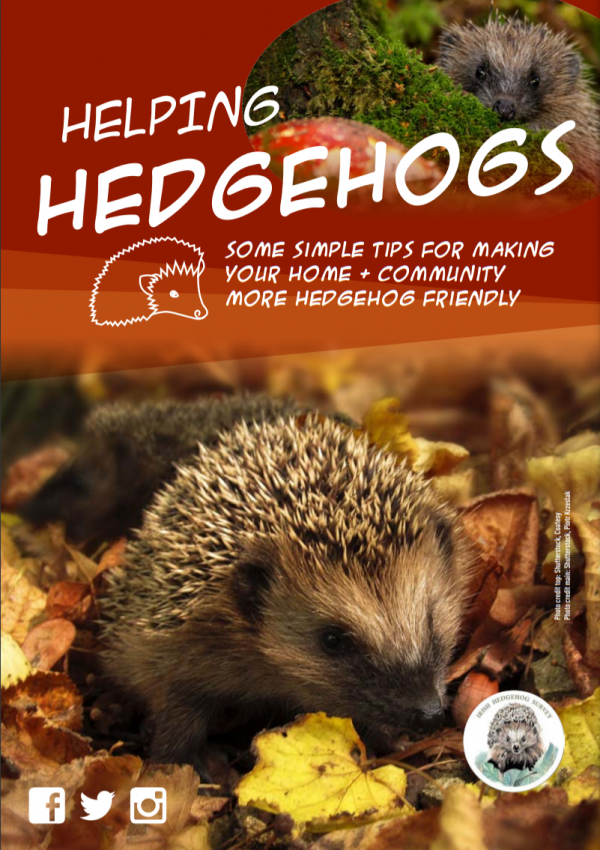 Irish Hedgehog Survey - National Biodiversity Data Centre