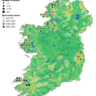 HE3G map: Juncus squarrosus – Rhytidiadelphus loreus heath