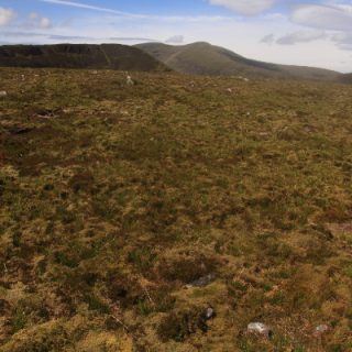 HE3G: Juncus squarrosus – Rhytidiadelphus loreus heath