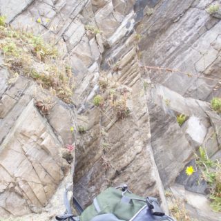 RH4B: Plantago coronopus – Armeria maritima coastal rock community