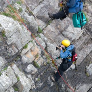 RH4B: Plantago coronopus – Armeria maritima coastal rock community