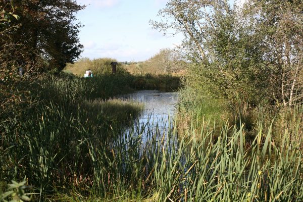 Habitats – National Biodiversity Data Centre